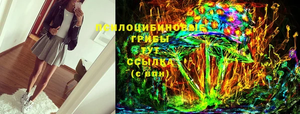 дмт Дмитриев