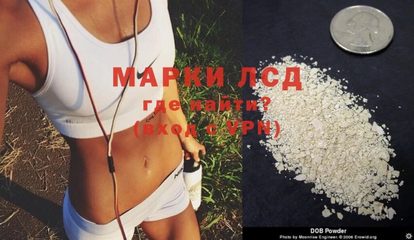 молекула духа Богородицк