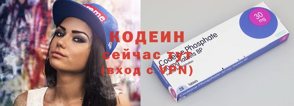 молекула духа Богородицк