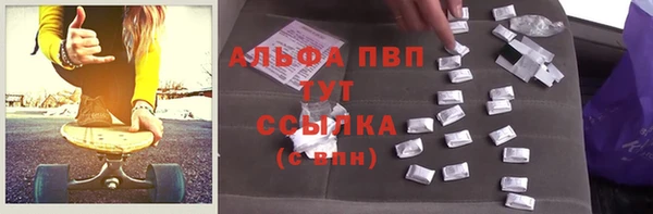 молекула духа Богородицк