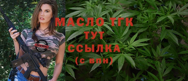 мдпв Богородск