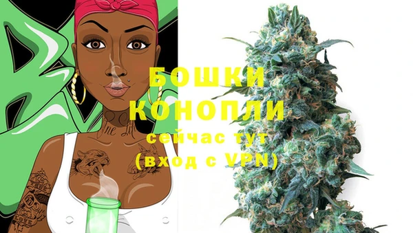 молекула духа Богородицк