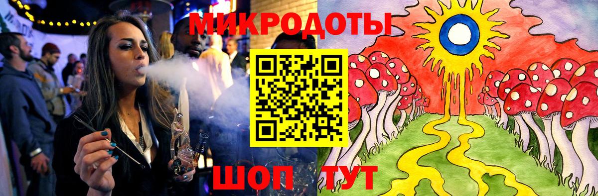 Псилоцибиновые грибы мухоморы Гатчина
